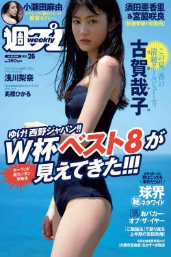 追捕 电影